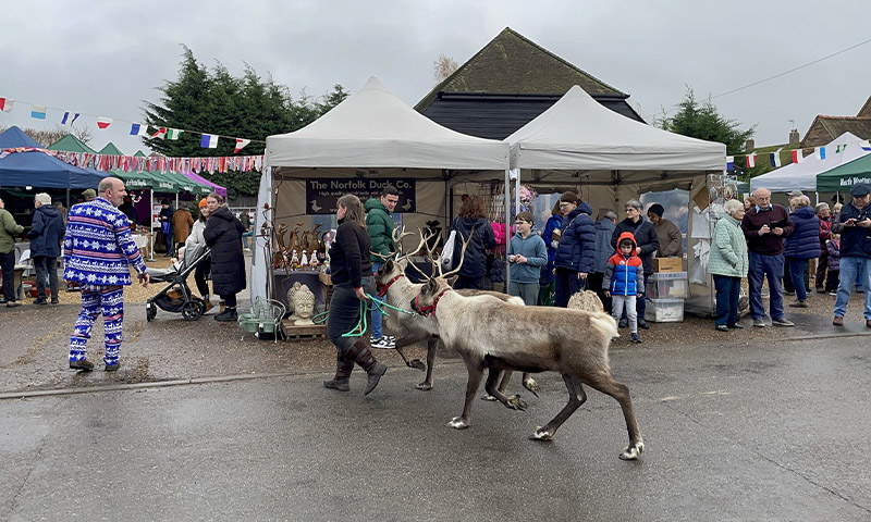 Christmas Fair 2025 04 Real Reindeer North Wootton Village Market Village Hall Kings Lynn Norfolk Craft Fair Real Christmas Tree Sale